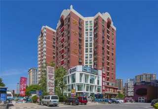 河南穿山甲皮带扣厂家货源