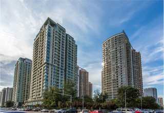 辽宁法国臻旺小猪酒推荐货源