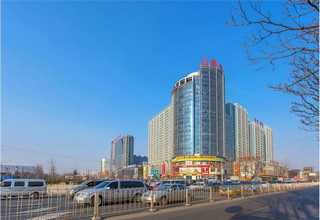 舟山特大纸碟机哪家便宜